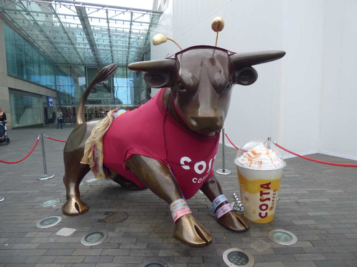Costa Bull